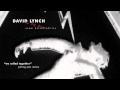 David Lynch - 'We Rolled Together' (Yttling Jazz Remix)