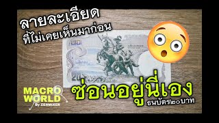 Amazing Thai Money 20