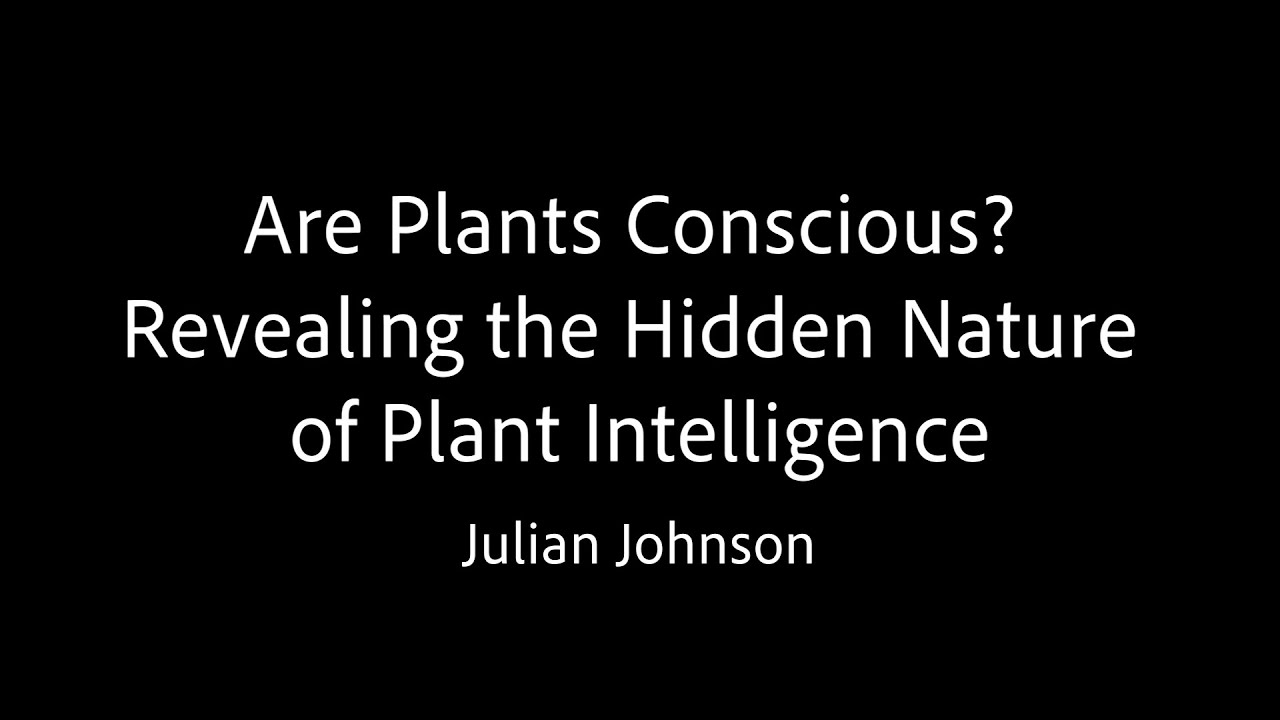 Are Plants Conscious? Revealing the Hidden Nature of Plant Intelligence