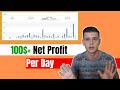 100$+ Per Day In Net Profit Dropshipping From Aliexpress To eBay | In My First Month