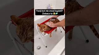 Twój kot nie lubi kąpieli? Zobacz to 🙀🧼🐱 Twój kot nie lubi kąpieli? Zobacz to 🙀🧼🐱