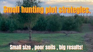 Small hunting plot strategies.
