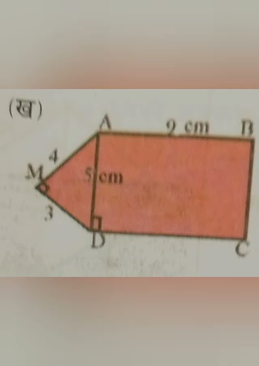 Class 8 area and volume exercise 8 1 youtube