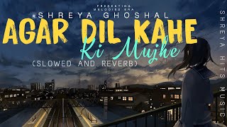 Agar Dil Kahe • Shreya Ghoshal •Sonu Nigam • Slowed And Reverb • @Melodies Era