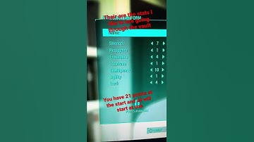 What are the special stats for fallout 4