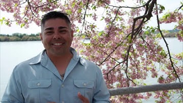 Portfolium Introduction