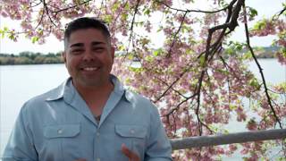 Portfolium Introduction
