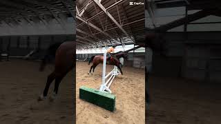 #elliot #horseedits #hacking #jumping