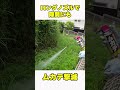 【ムカデ用殺虫スプレー】ムカデの動きを瞬時に止めて退治！ムカデの侵入防止にも効果的 1本あれば安心 ムカデ駆除スプレー #shorts #ムカデ駆除 #殺虫剤