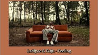 Ladipoe & Buju - Feeling ( s l o w e d   r e v e r b )