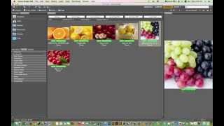 Famous Tree Shade Plugin   Fixing Missed Links Profile
