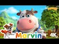 🎵 Frühlingszauber &amp; Tierstimmen! Die besten Kinderlieder zum Lernen &amp; Spielen | Marvin Kinderlieder