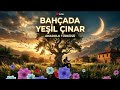Bahçada Yeşil Çınar | Anadolu Türküsü | Suno AIX Cover