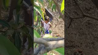 Aaj Subah Jab Mai Jaga Song