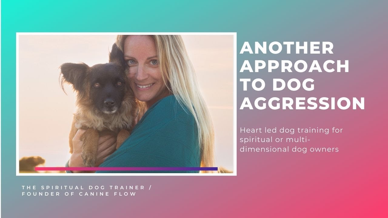 A different solution to dog aggression