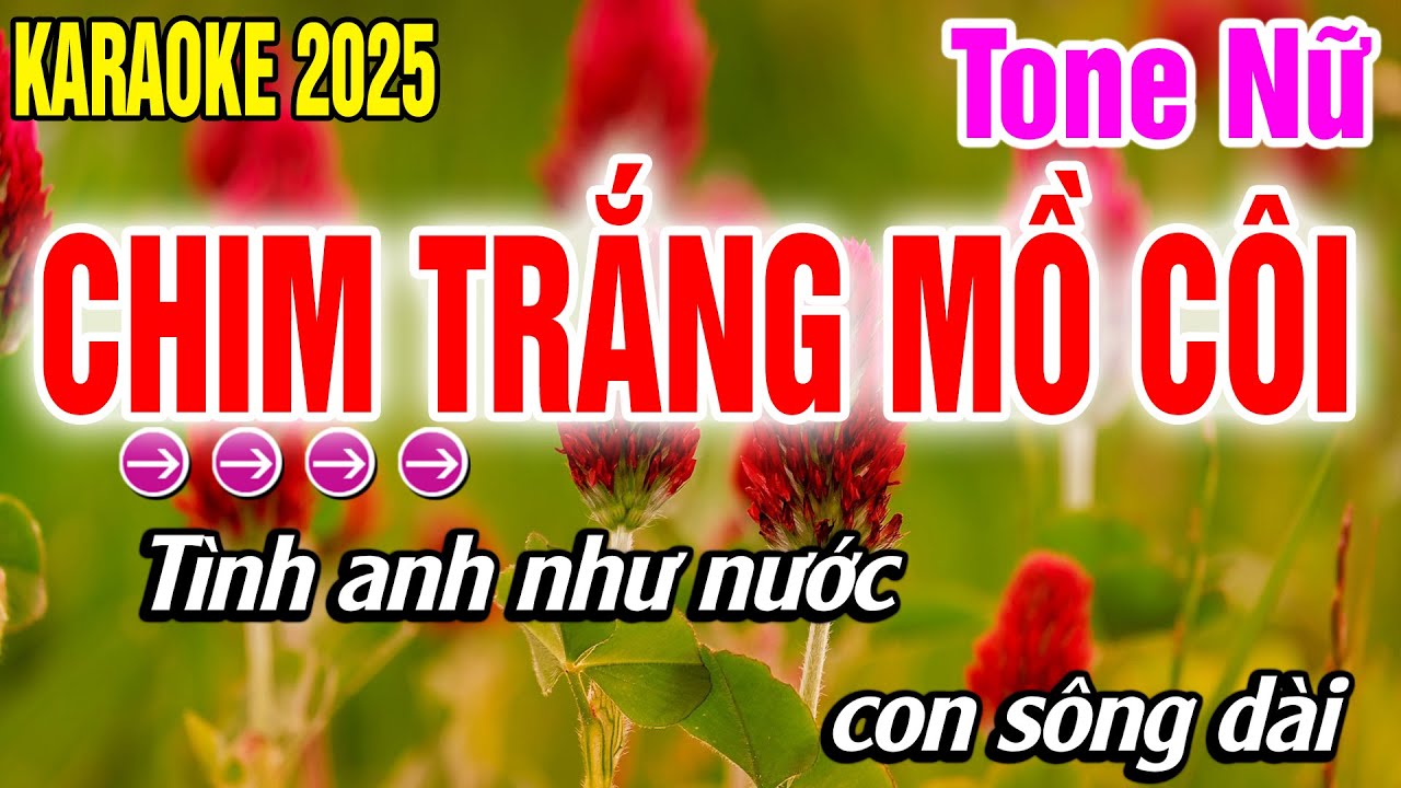 Chim Trắng Mồ Côi Karaoke Tone Nữ beat Phối Mới Dễ Hát Nhật Qui