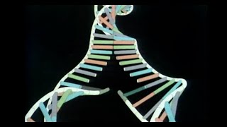 Evolution - David Attenborough