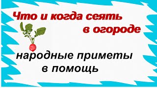 Что и когда сеять в огороде.Народные приметы