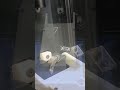 from an #idea to a #working #model🦾 #3dprinting #machinelearning #live #youtubeshorts #reels #shorts
