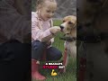 Beagles: Safe &amp; Playful Companions for Your Family! #shorts