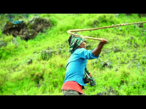 Buhe with Arts TV - Qeleme |  ቡሄን  ከአርትስ ቲቪ ጋር - ቀለሜ