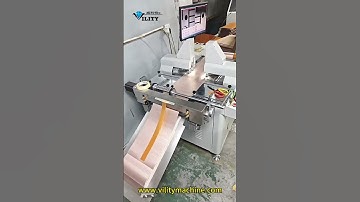 FPC & Label Processing–Vility Roll-to-Roll CCD Dual-Head Punching and Cutting #vility #holepunching