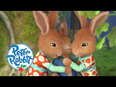 Wideo: Czy Flopsy Peter Rabbits jest siostrą?