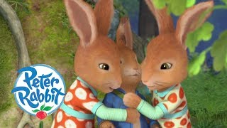 Peter Rabbit  Flopsy and Mopsy Teach Peter a Lesson | Cartoons for Kids
