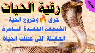 حرق🔥الحية الشيطانة الحاسدة الساحرة العاشقة التى عطلت الحياة رقية الحيّات القوية