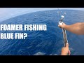 Fishing YELLOWFIN TUNA FOAMERS and Kelp paddy yellow tail off san Diego (Tuna on the iron)!