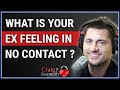 What Is My Ex Feeling During No Contact?