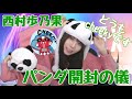 cheekyパンダ着ぐるみを開封する西村歩乃果