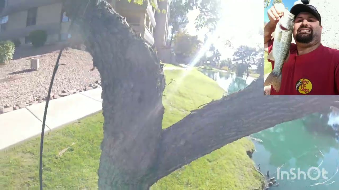 AZ Urban Fall Bass Fishing