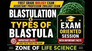 Blastulation and Types of Blastula. RPSC FIRST GRADE BIOLOGY. #rpsc1stgrade #embryology #biologyexam