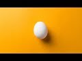 あなたにこの卵守れますか?【LOST EGG】#1