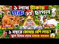 ১ লাখ টাকায় গরু vs ছাগল 🐄🐐 | ১ বছরে কোথায় বেশি লাভ? ফুল হিসাব দেখে চমকে যাবেন!