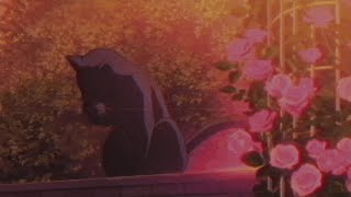 indii g. - carpe diem (feat. kuzu mellow) (lyrics)