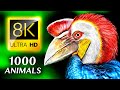1000 حيوان جميل 8K الترا اتش دي 