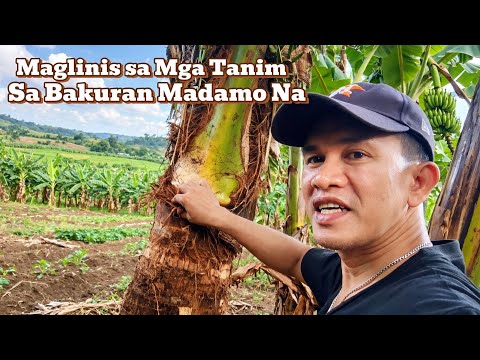 SIMULA NA NANG PAGLILINIS || JFCTV