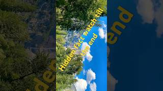 Celebrity You Won’t Believe This Waterfall #trending #shortsfeed #viral #shorts #travel #reels #viralvideos Wealth