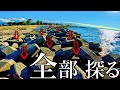 【穴釣り】テトラ帯を全部探ったら爆釣劇が始まった