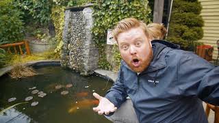Chasing waterfalls and discovering a secret garden