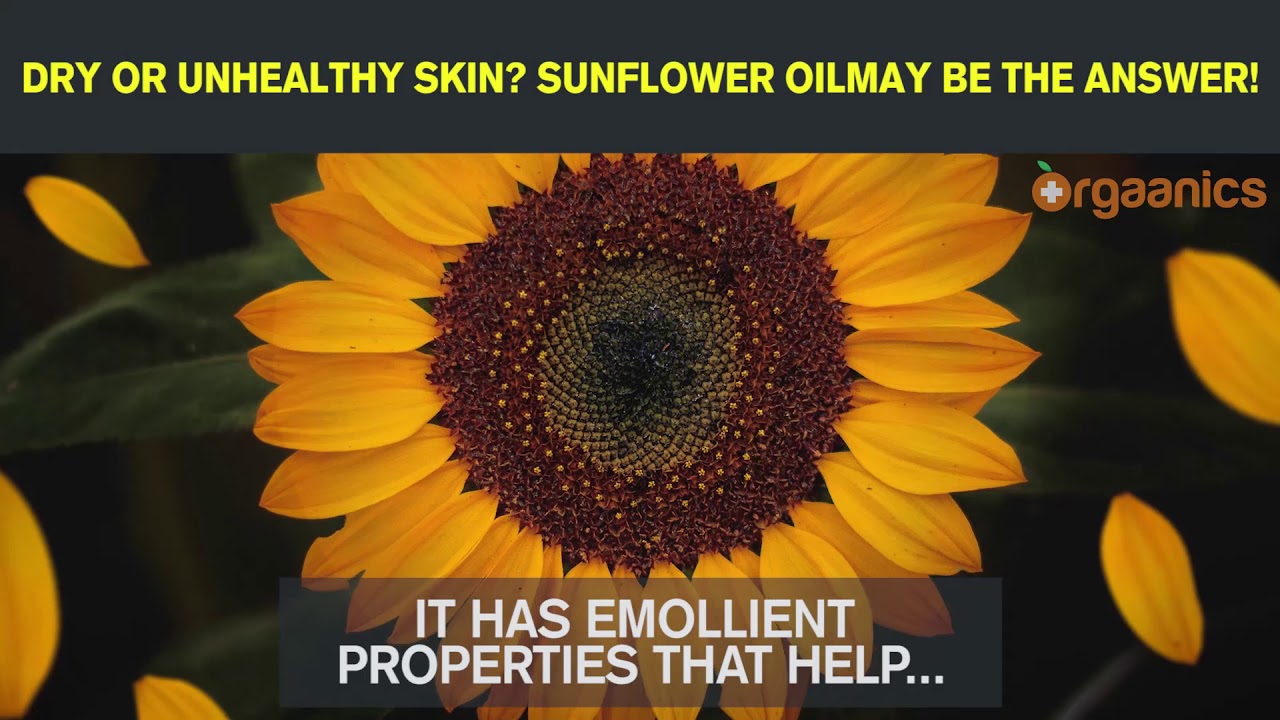 Dry or Unhealthy Skin? Sunflower Oil May Be the Answer! YouTube