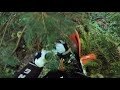 KTM 350 XCF Tillamook State Forest Crash