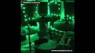 Zebra Danio - Spring Session 2018