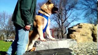 Toka - Parkour - Dit - 2 Feet On