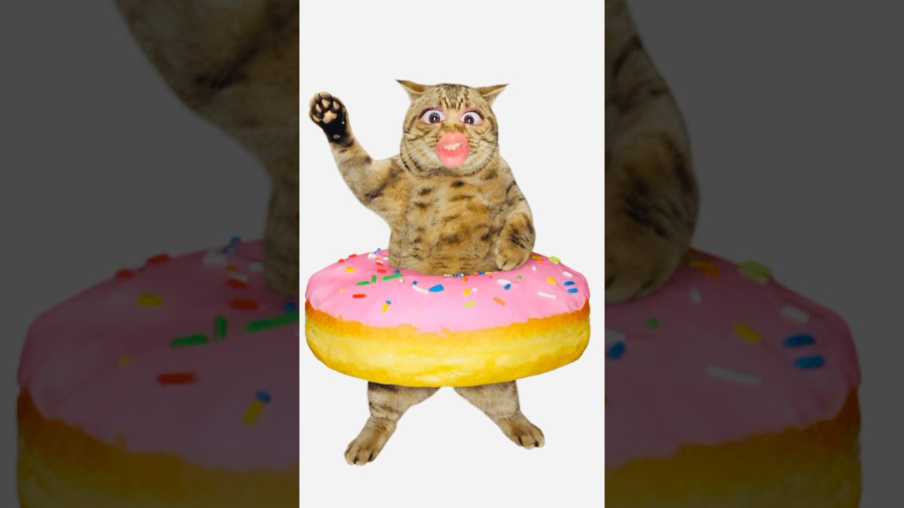 Alifun baa Taunt Saa | naat | Islamic video| 