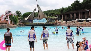 My Favorite Place In Daegu, Korea Stani In Korea