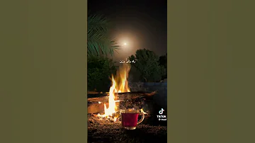 لا تراهن وانت الكاسب اجمل مقاطع حالات واتس 