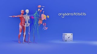 orgaanstelsels - medische biologie voor MBO - les 02